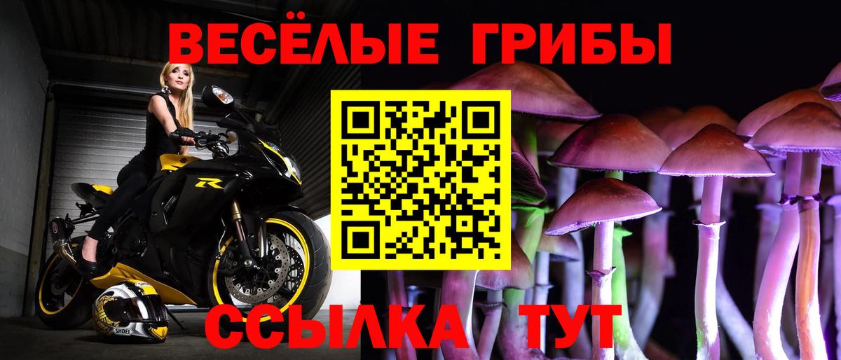 Галлюциногенные грибы Psilocybe Углич