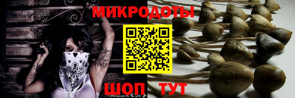 Углич  Галлюциногенные грибы мицелий  Вход с VPN 
